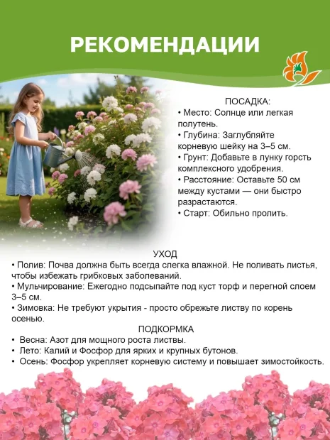 Флокс Евгения 