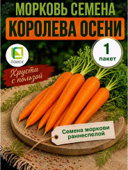 Морковь Королева Осени Морковь Королева Осени