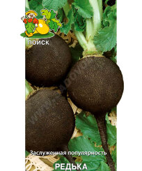 Редька Зимняя Круглая чёрная