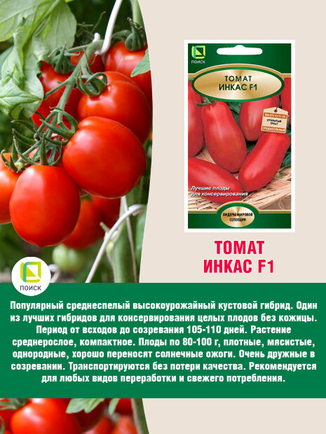 Томат Инкас F1 семена 