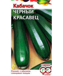 Кабачок Черный красавец