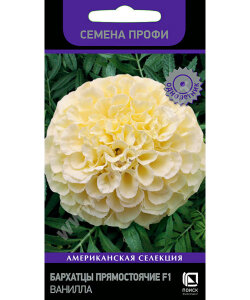Бархатцы прямостоячие Ванилла (ПРОФИ) Бархатцы прямостоячие Ванилла (ПРОФИ)
