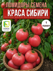 Томат Краса Сибири Томат Краса Сибири